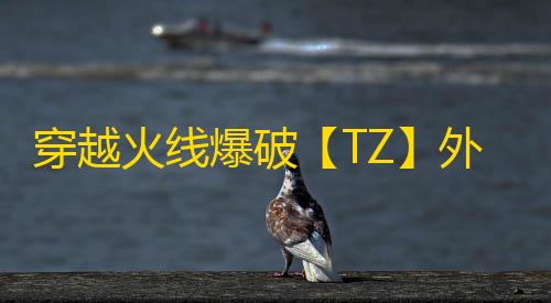 穿越火线爆破【TZ】外挂