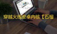 穿越火线安卓内核【石榴】辅助