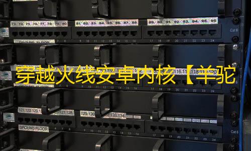 穿越火线安卓内核【羊驼】辅助