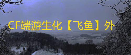 CF端游生化【飞鱼】外挂