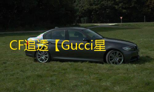 CF追透【Gucci星月】外挂