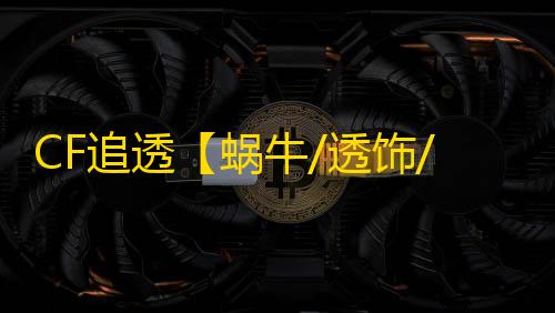 CF追透【蜗牛/透饰/追踪】外挂