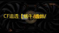 CF追透【蜗牛/透饰/追踪】外挂