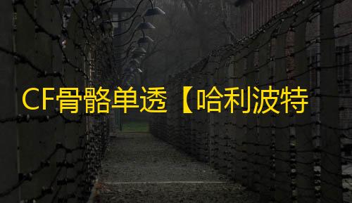 CF骨骼单透【哈利波特/单透饰/支持怀旧服】外挂
