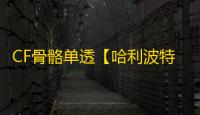 CF骨骼单透【哈利波特/单透饰/支持怀旧服】外挂