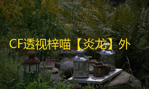CF透视梓喵【炎龙】外挂