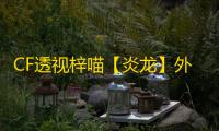 CF透视梓喵【炎龙】外挂
