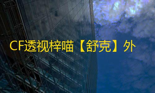 CF透视梓喵【舒克】外挂