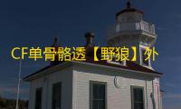 CF单骨骼透【野狼】外挂