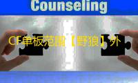 CF单板范围【野狼】外挂