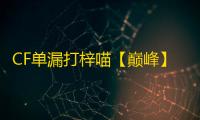 CF单漏打梓喵【巅峰】外挂
