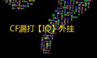 CF漏打【IQ】外挂